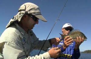 VIDEO: Fishing The Edge – Bream on hardbodies